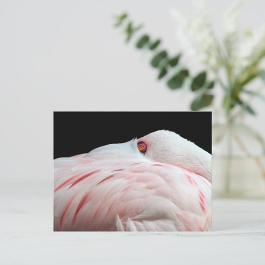 Roze Briefkaart Flamingo (Staand voorkant)