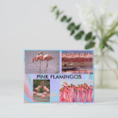 Roze Briefkaart Flamingos (Staand voorkant)