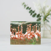 Roze Briefkaart Flamingos (Staand voorkant)