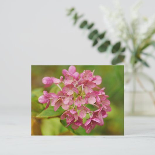 Roze Briefkaart Hydrangea (Staand voorkant)