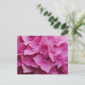 Roze Briefkaart Hydrangea (Staand voorkant)