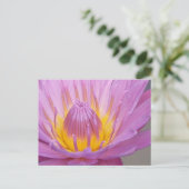Roze Briefkaart van de Waterlily (Staand voorkant)