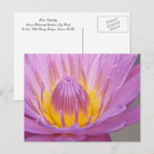 Roze Briefkaart van de Waterlily (Voorkant / Achterkant)