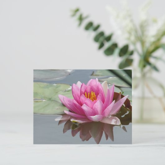 Roze Briefkaart van de Waterlily (Staand voorkant)