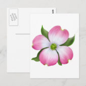 Roze Briefkaart van Dogwood (Voorkant / Achterkant)