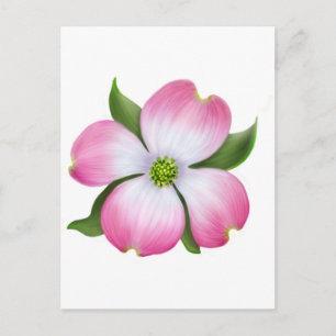 Roze Briefkaart van Dogwood