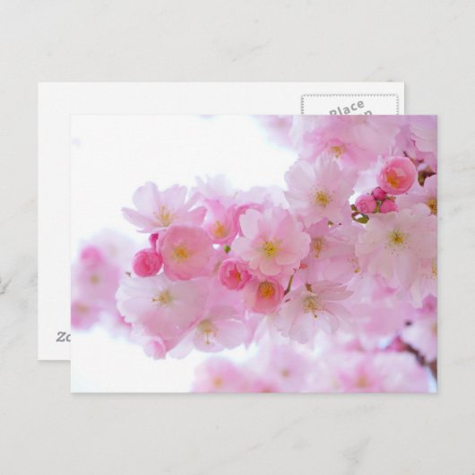 Roze Briefkaart van Floral (Voorkant / Achterkant)