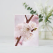 Roze bronbloesems briefkaart (Staand voorkant)