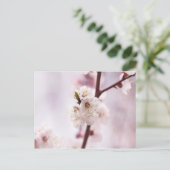 Roze bronbloesems briefkaart (Staand voorkant)