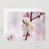 Roze bronbloesems briefkaart (Voorkant / Achterkant)