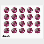 Roze bubels rond sticker (Vel)