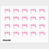 Roze Bunko Reminder Stickers (Vel)