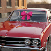 Roze bus extra grote vensterafdekking raamsticker