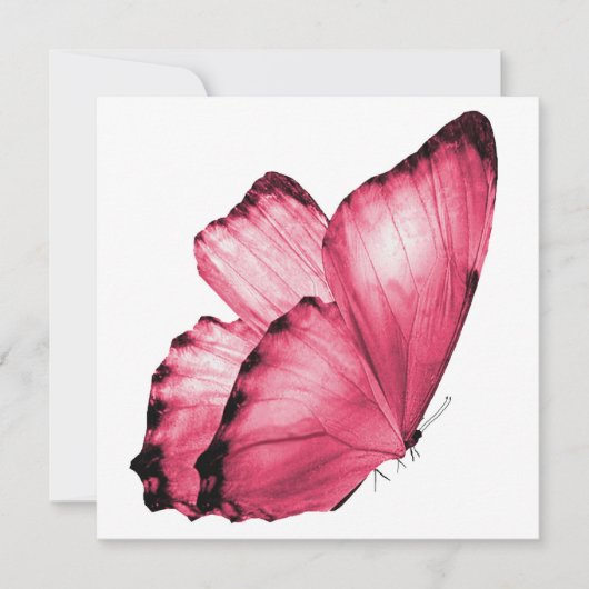 Roze Butterfly Notecard (Voorkant)