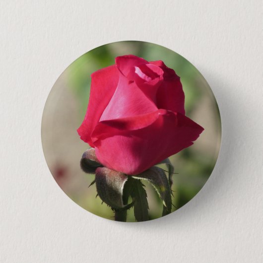 Roze Button (Voorkant)