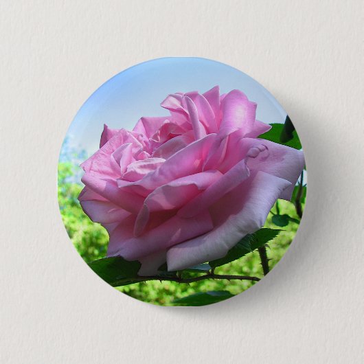 Roze Button (Voorkant)