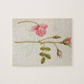 Roze, c.1568 legpuzzel (Horizontaal)