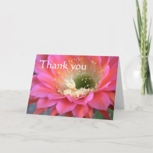 Roze cactus bloeit in de woestijn, dank je. bedankkaart