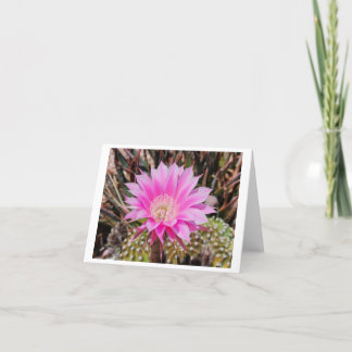 Roze cactus bloem gevouwen blanco elke gelegenheid bedankkaart