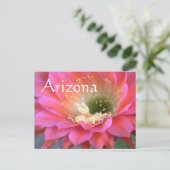 Roze cactus-bloem in de woestijn briefkaart (Staand voorkant)
