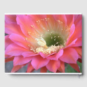Roze cactus-bloem in de woestijn gastenboek (Achterkant)