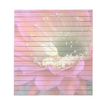 Roze cactus-bloem in de woestijn