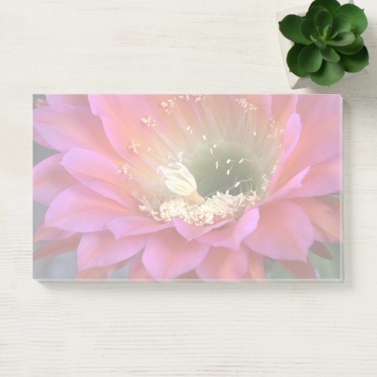 Roze cactus-bloem in de woestijn post-it® notes (Kantoor)