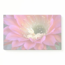 Roze cactus-bloem in de woestijn