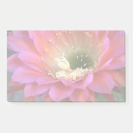 Roze cactus-bloem in de woestijn post-it® notes