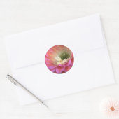 Roze cactus-bloem in de woestijn ronde sticker (Envelop)