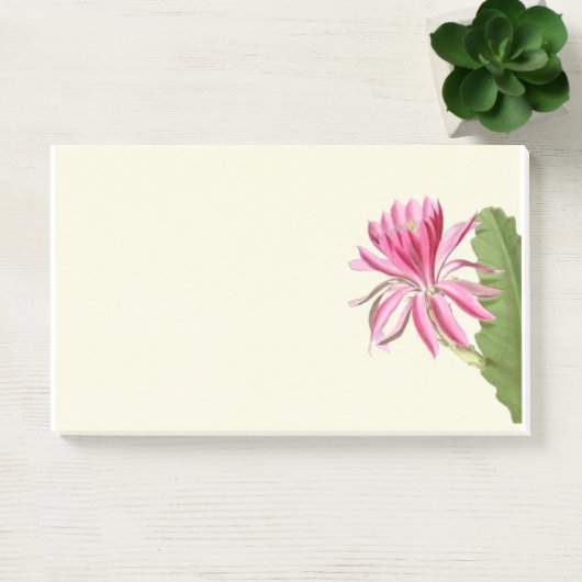 Roze cactus bloem, post-it® notes (Kantoor)