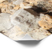 Roze cactus bloemen in Red Rock Canyon, NV Foto Afdruk (Hoek)