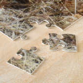 Roze cactus bloemen in Red Rock Canyon, NV Legpuzzel (Zijkant)