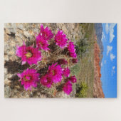 Roze cactus bloemen in Red Rock Canyon, NV Legpuzzel (Horizontaal)