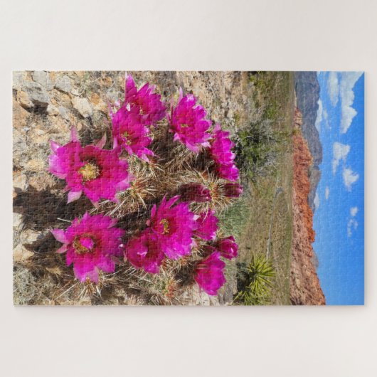 Roze cactus bloemen in Red Rock Canyon, NV Legpuzzel (Horizontaal)