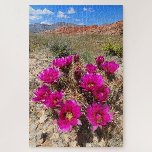 Roze cactus bloemen in Red Rock Canyon, NV Legpuzzel (Verticaal)