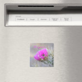 roze cactus bloom, Arizona Magneet (Insitu (Vaatwasser))