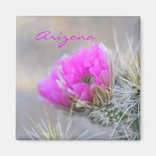 roze cactus bloom, Arizona Magneet