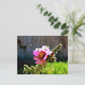Roze Cactus Bloom met vliegende bug Briefkaart (Staand voorkant)