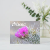 Roze Cactus Blooms, Arizona Briefkaart (Staand voorkant)