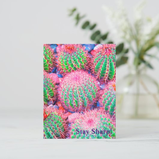 Roze cactus briefkaart (Staand voorkant)