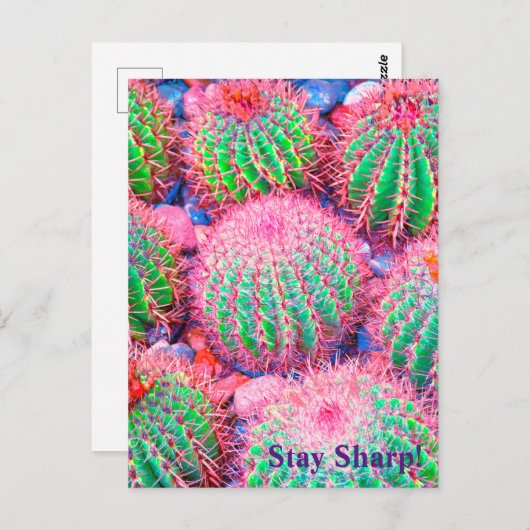 Roze cactus briefkaart (Voorkant / Achterkant)