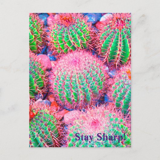 Roze cactus briefkaart (Voorkant)