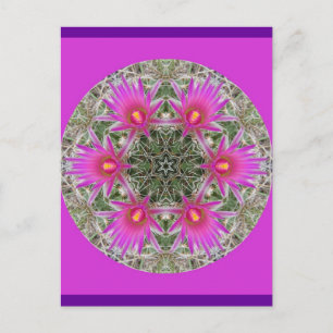 Roze Cactus Flower Briefkaart