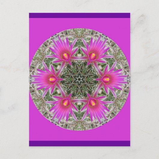 Roze Cactus Flower Briefkaart (Voorkant)