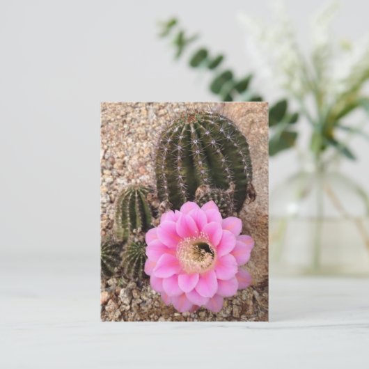 Roze Cactus Flower Briefkaart (Staand voorkant)