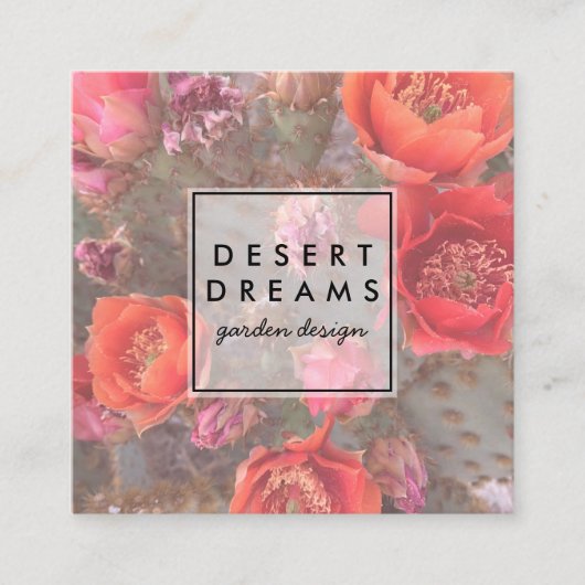 Roze Cactus Flower Desert Garden Photo Travel Vierkante Visitekaartje (Voorkant)