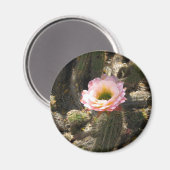 Roze Cactus Flower Magneet (Voorkant / Achterkant)
