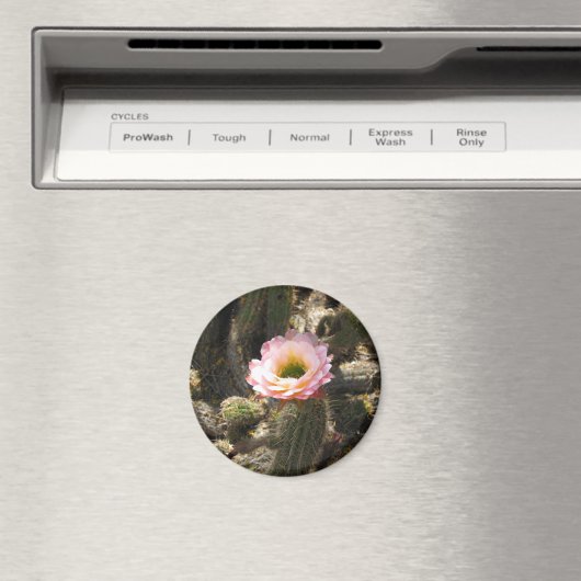 Roze Cactus Flower Magneet (Insitu (Vaatwasser))