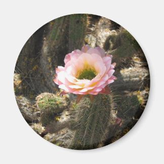 Roze Cactus Flower Magneet